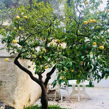 8 Personnes Acces Plage Villa Roquebrune-Cap-Martin